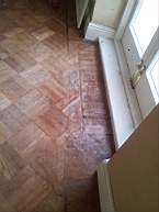fkillineybeforeinternal 1180.jpg